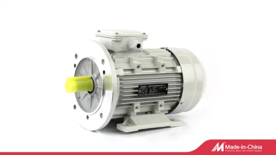 Durable Centrifugal Pump for Marine and Chemical Industries Frequency AC Asynchronous Motor for Construction Machinery